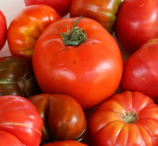 Verschiedene Frische Rohe Tomaten Auf Dem Bauernmarkt Montreal Quebec Kanada — Stockfoto