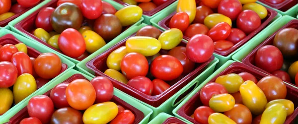 Heirloom Small Tomatoes Display Farmers Market Montreal Quebec Canada — Stock Photo, Image