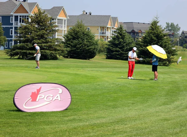 Gente Gioca Golf Sul Prato Verde — Foto Stock