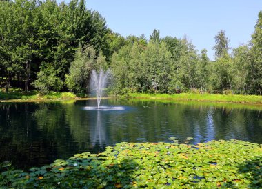 Göldeki yaz manzarası çeşmesi Doğu kasabası, Bromont, Quebec, Kanada