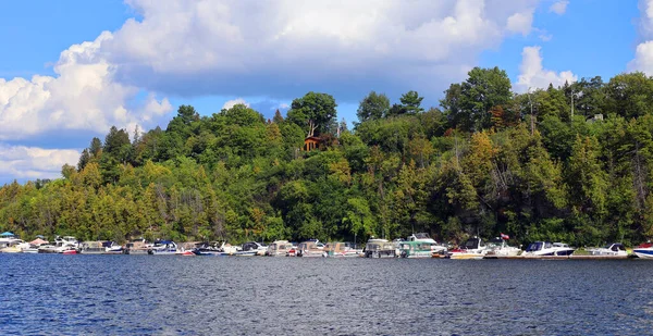 Letní Krajina Řeky Outaouais Mezi Provinciemi Quebec Ontario Kanada — Stock fotografie