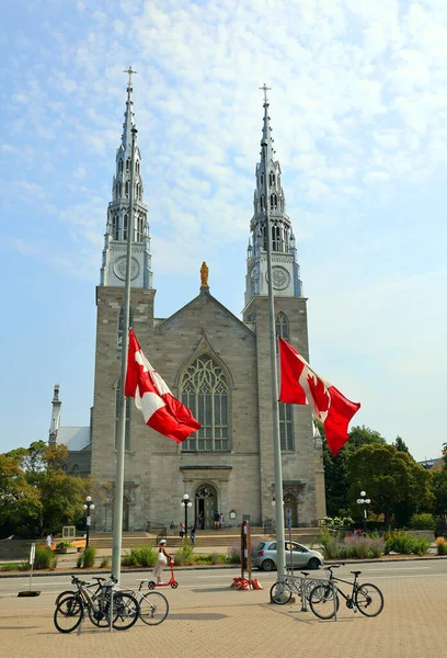 Тава Онтарио Канада 2021 Нотр Дам Кафедральный Собор Кафедрального Собора — стоковое фото