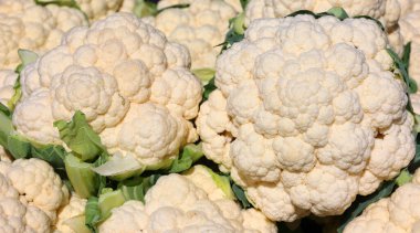 Taze organik karnabahar yakın çekim