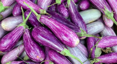 Peri Masalı patlıcanları, ekstra ikramiye. Bu tür patlıcan lezzetli olduğu kadar güzeldir de..