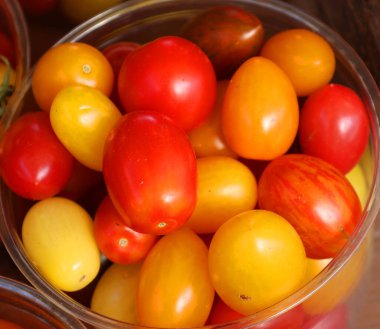 Çiftçi pazarında sergilenen aile yadigarı küçük domatesler, Montreal, Quebec, Kanada 