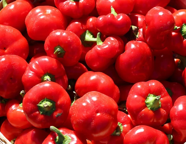Hot Cherry Bomb Jest Średnio Ciepła Papryka Podobny Jalapeno Popularne — Zdjęcie stockowe