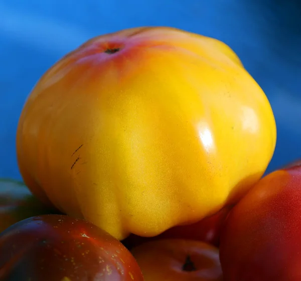 Tomates Bife Amarelo Crystal Valley Trazer Uma Cor Brilhante Ensolarada — Fotografia de Stock