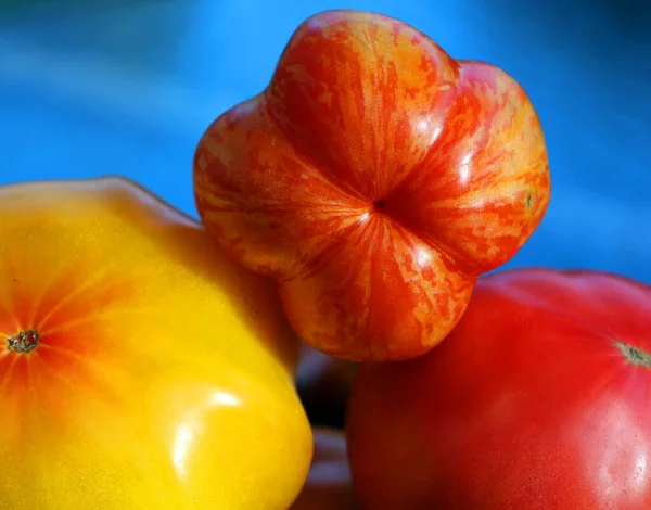 Solar Flare Tomatoes Large Weighing Ounces Have Vibrant Red Skin — Stock Photo, Image