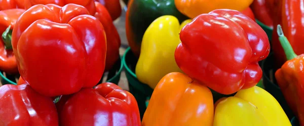 Capsicum Świeże Żółte Pomarańczowe Zielone Czerwone Papryki Dzwon Organicznych Wyświetlaczu — Zdjęcie stockowe