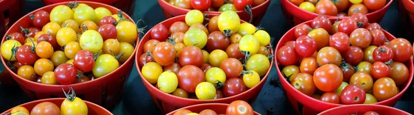 Ärftloom Små Tomater Som Visas Marknaden För Jordbrukare Montreal Quebec — Stockfoto