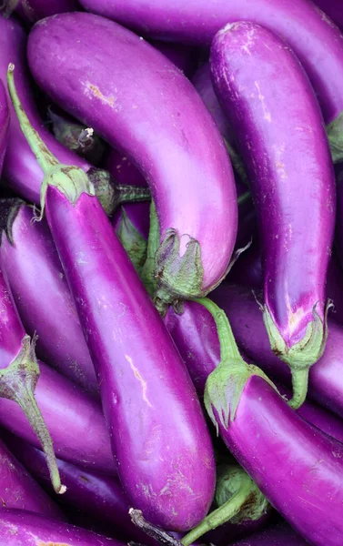 Japon patlıcanları uzun, ince ve dikdörtgendir. Bu mürekkep renkli meyve düz ya da hafif eğri olabilir ve koyu mor ya da yeşil bir sapı vardır.