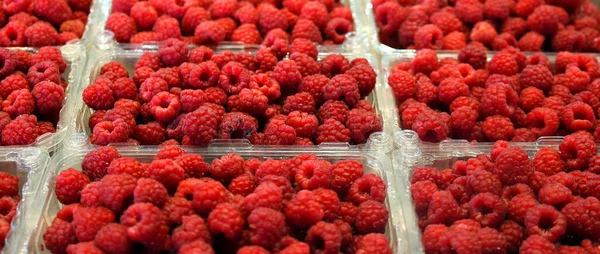 Framboesas Maduras Frescas Mercado — Fotografia de Stock