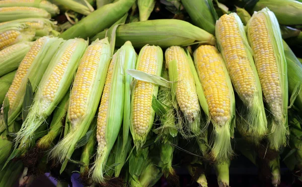 Tatlı mısır, yüksek şeker içerikli bir mısır çeşididir. Bu, şekerin mısırın içindeki nişasta dönüşümünü kontrol eden genlerdeki doğal çekinik mutasyonun sonucudur.