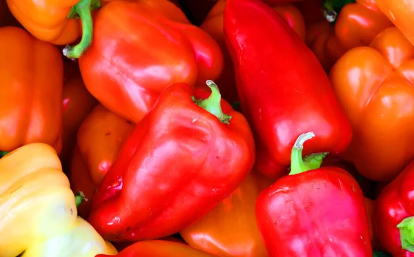 Poivrons Frais Colorés Sur Marché — Photo