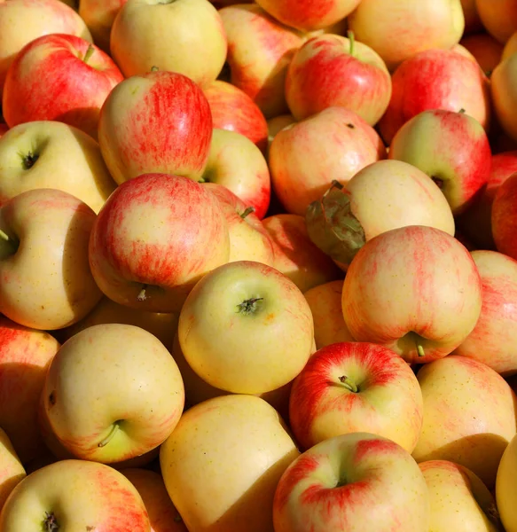 Frische Reife Äpfel Auf Dem Markt — Stockfoto