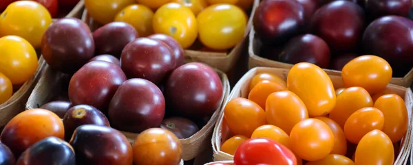 Färska Ekologiska Tomater Marknaden — Stockfoto