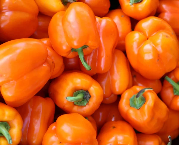 Pimentos Orgânicos Frescos Mercado — Fotografia de Stock