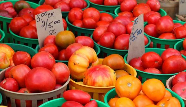 Coloridos Tomates Vintage Herencia Vegetal —  Fotos de Stock