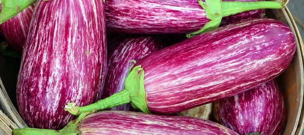 Peri Masalı patlıcanları, ekstra ikramiye. Bu tür patlıcan lezzetli olduğu kadar güzeldir de..