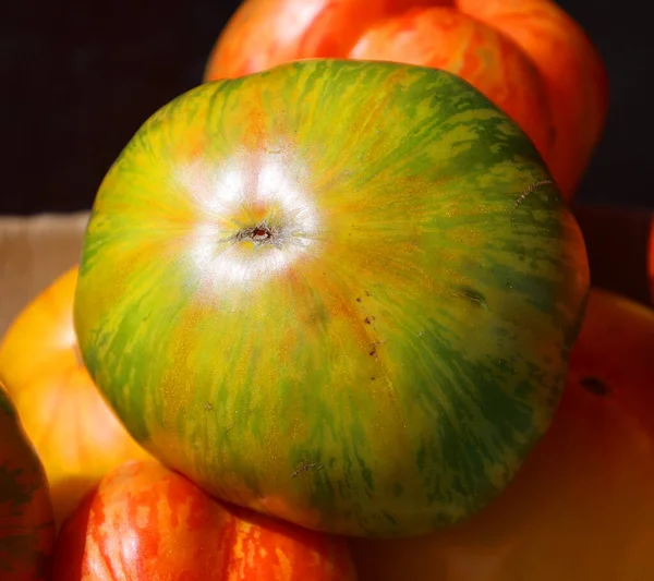 Πράσινη Ζέβρα Είναι Μια Ποικιλία Ντομάτας Χαρακτηριστικές Σκουρόχρωμες Και Κίτρινες — Φωτογραφία Αρχείου