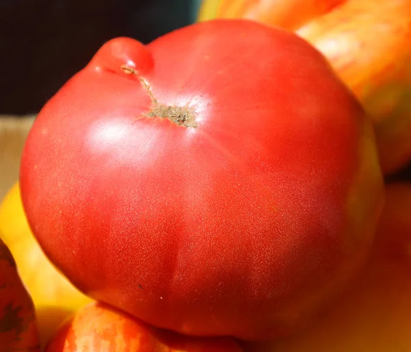 Pink Fresh Raw Tomatoes Farmer Market Montreal Quebec Canada — Stock Photo, Image