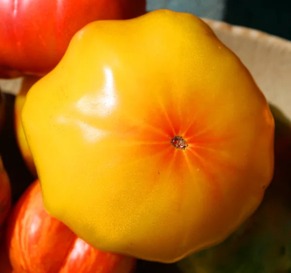 Tomates Bife Amarelo Crystal Valley Trazer Uma Cor Brilhante Ensolarada — Fotografia de Stock