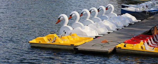 MONTREAL QUEBEC CANADA - 09 07 2021 Kuğu şekilli pedal botlar Kanal Lachine 'de kiralanabilir ve denemek için sabırsızlanıyoruz.!
