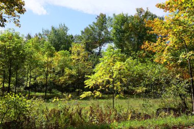 Doğudaki Bromont, Quebec eyaleti, Kanada