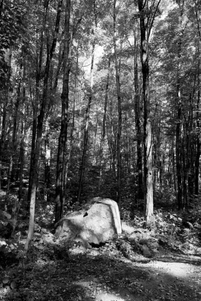 Outono Paisagem Leste Municípios Bromont Quebec Província Canadá — Fotografia de Stock