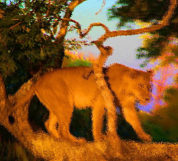 Image Floue Colorée Abstraite Lion Dans Savane — Photo