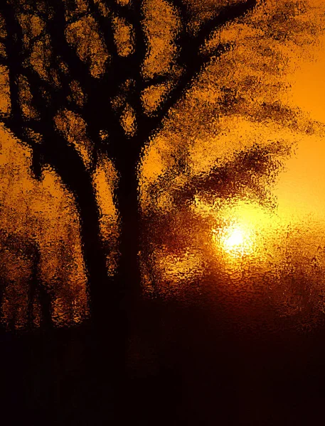 Psychedelischer Sonnenuntergang Savannenlandschaft Hintergrund Mit Farbmuster Auf Glänzender Oberfläche Oder — Stockfoto