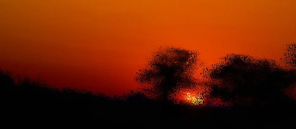 Психоделический Закат Фоне Ландшафта Саванны Цветовым Узором Блестящей Блестящей Поверхности — стоковое фото
