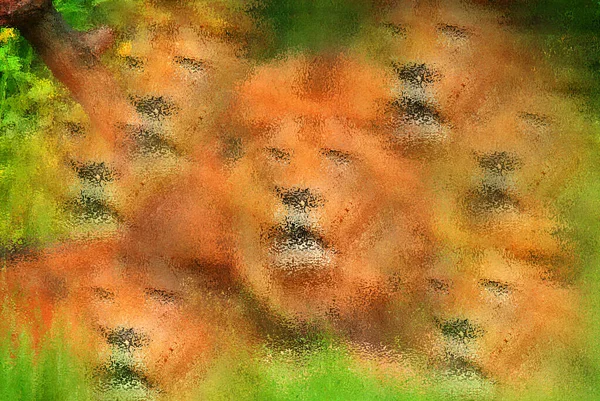 Abstract Colorful Blurred Picture Lions — Stock Photo, Image