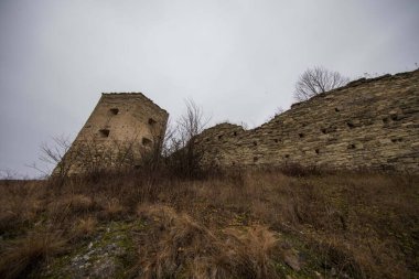 Ukrayna 'daki Kudrinetsky kalesinin kalıntıları.