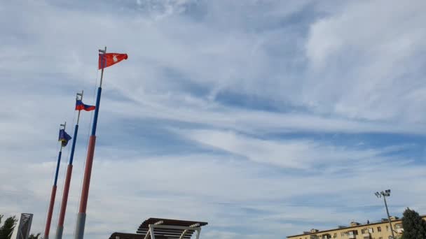 Російський Волгоградський Прапор Вітрі — стокове відео