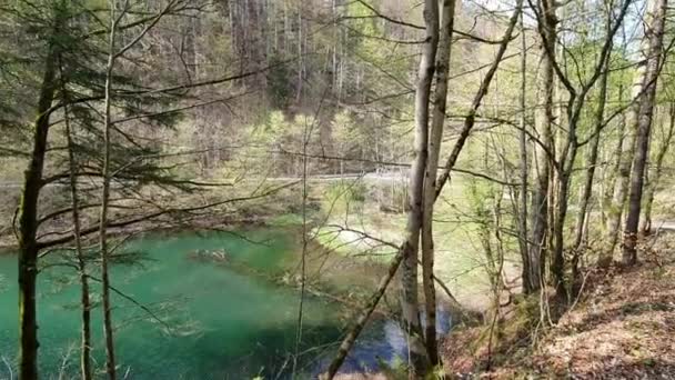 Letni Krajobraz Staw Zielone Drzewa Austrii — Wideo stockowe