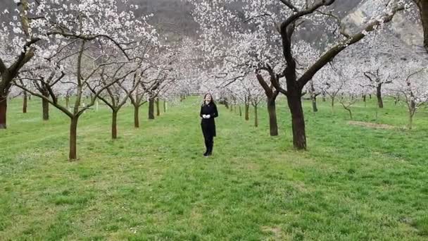 Gyönyörű Lány Barackfák Ágai Tavaszi Virágzás Időszakában — Stock videók