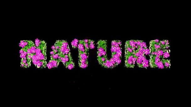 Крупним планом квітка — стокове відео