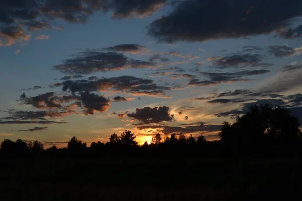 Solnedgång Den Mörka Skogen — Stockfoto