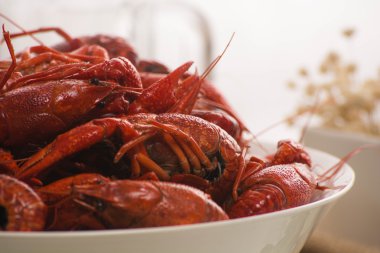 haşlanmış büyük kerevides beyaz yüzeyi