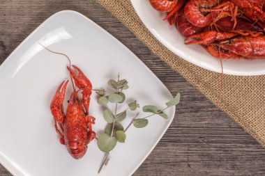 bardak bira ile ahşap yüzeyde bir kerevit