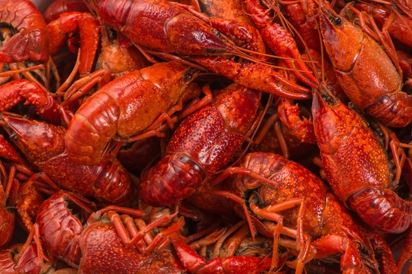 Boiled big crawfish close up view from the top — Stock Photo, Image