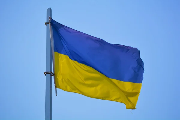 Flagge der Ukraine — Stockfoto