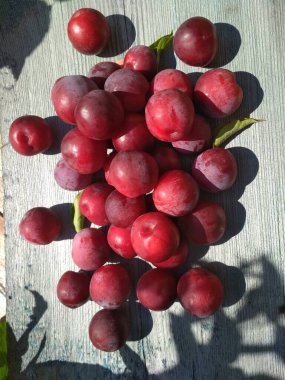 Olgun kırmızı erikler güneşli bir yaz gününde tahta bir masada.