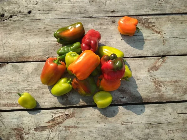 Ripe Delicious Fragrant Juicy Yellow Red Green Peppers — Stock Photo, Image