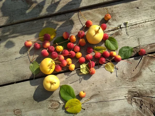 Ağustosta Bahçedeki Eski Ahşap Bir Masada Kırmızı Sarı Elmalar — Stok fotoğraf