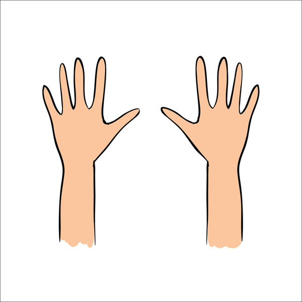 Vector hands holding