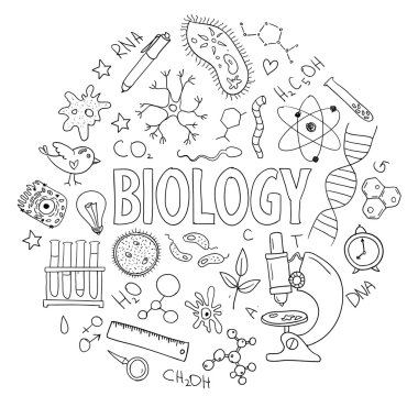 Hand drawn vector set with school  equipment. Can be used for design. Biology lesson clipart