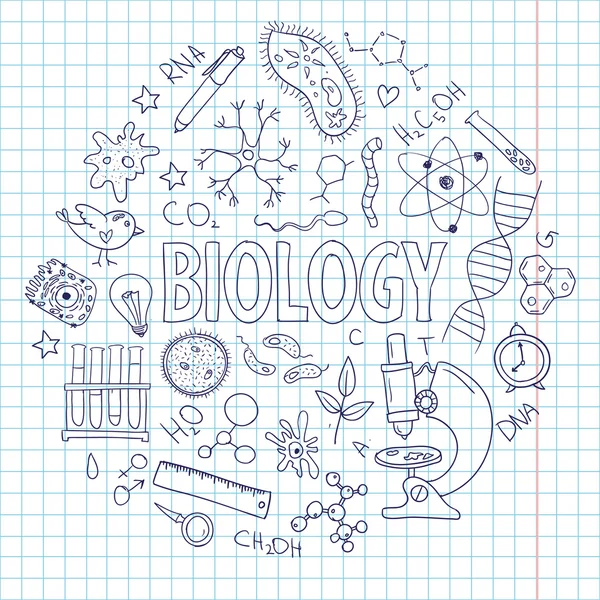 Conjunto de vetores desenhados à mão com equipamento escolar. Pode ser usado para o projeto. Lição de biologia —  Vetores de Stock