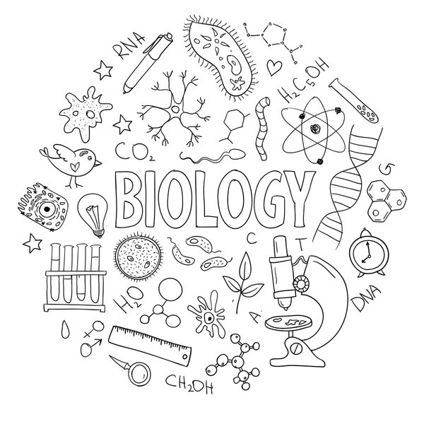 Hand drawn vector set with school  equipment. Can be used for design. Biology lesson